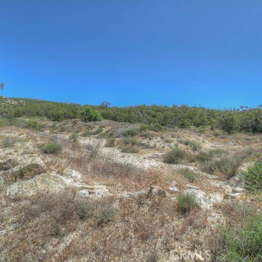 Anza, CA 92539,61700 Indian Paint Brush