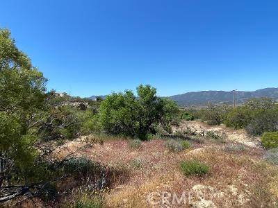 Anza, CA 92539,61700 Indian Paint Brush