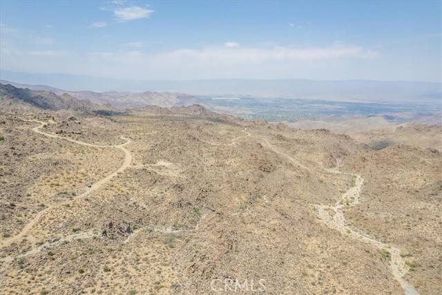 Mountain Center, CA 92260,15 Desert Calico