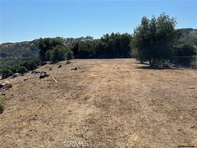 Temecula, CA 92590,15 Camino Estribo
