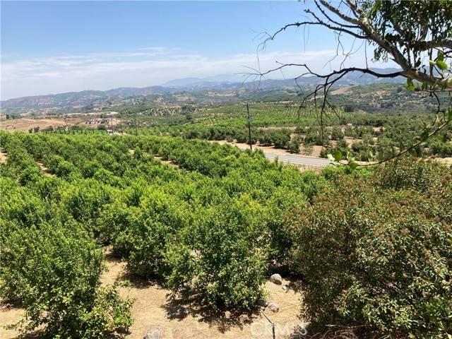 Temecula, CA 92590,39 Carancho