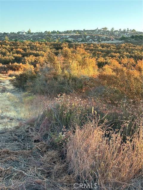 Hemet, CA 92544,84 Sable