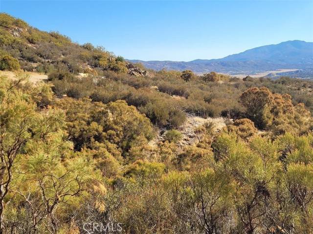 Anza, CA 92539,0 Gulley View