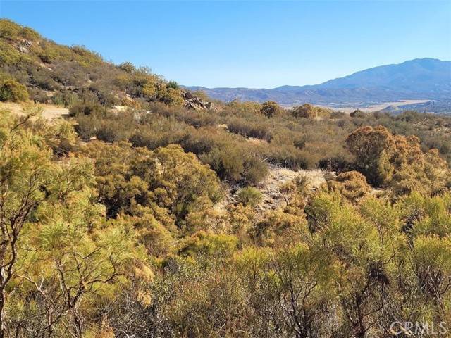 Anza, CA 92539,0 Gulley View