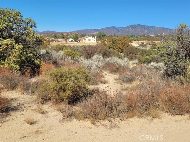 Anza, CA 92539,0 Ayers