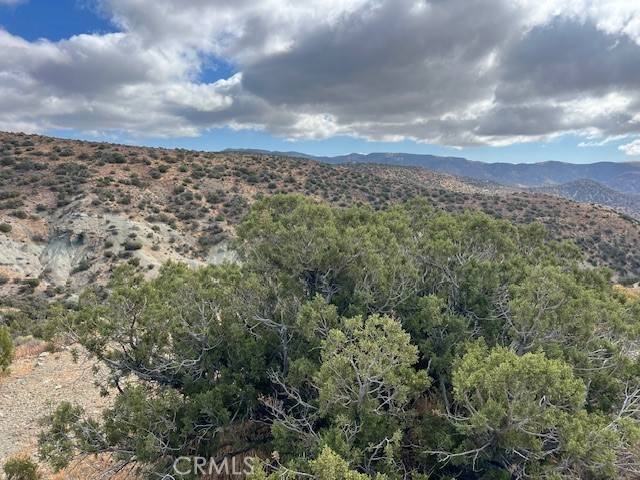 Tehachapi, CA 93561,25505 Sun View