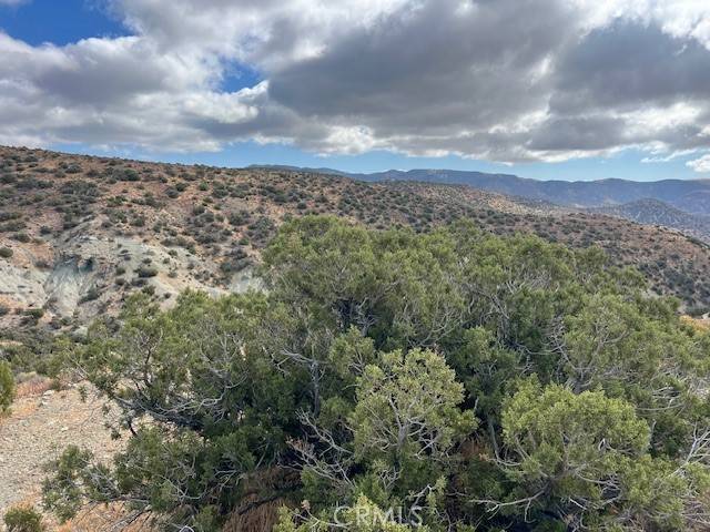Tehachapi, CA 93561,25505 Sun View