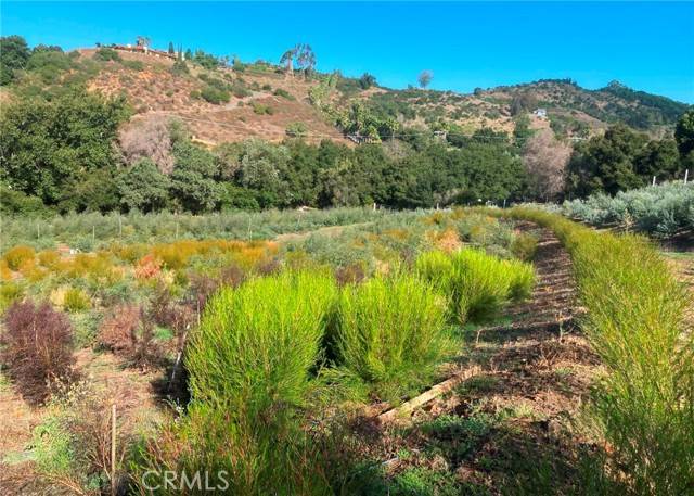 Temecula, CA 92590,16 Sandia Creek