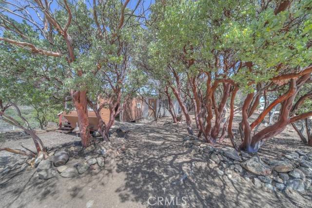 Anza, CA 92539,38450 Western Hills Road