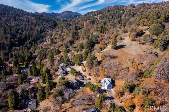 Crestline, CA 92325,0 Briarwood