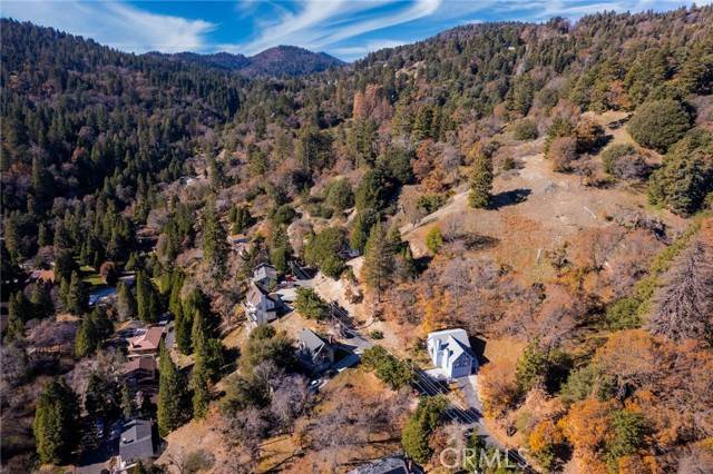 Crestline, CA 92325,0 Briarwood