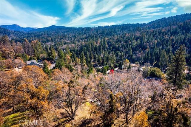 Crestline, CA 92325,0 Briarwood