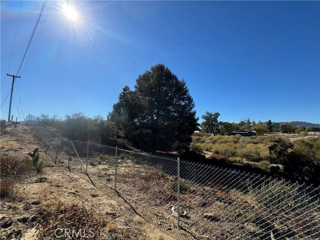 Anza, CA 92539,19 old forest