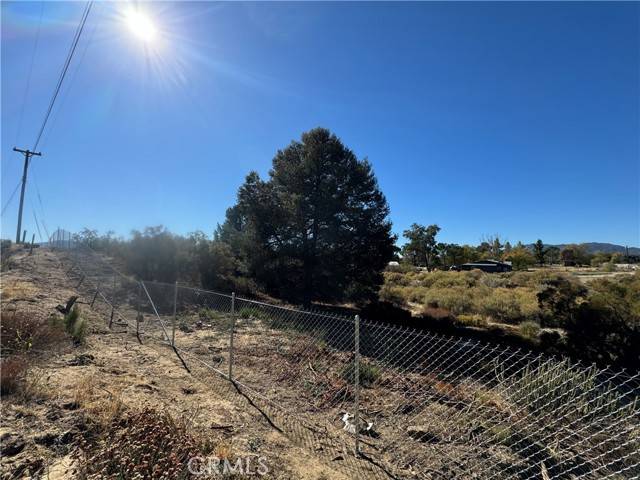 Anza, CA 92539,19 old forest