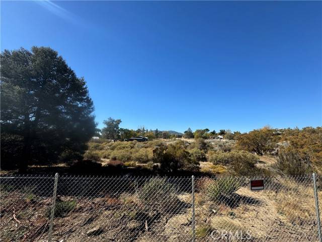 Anza, CA 92539,19 old forest