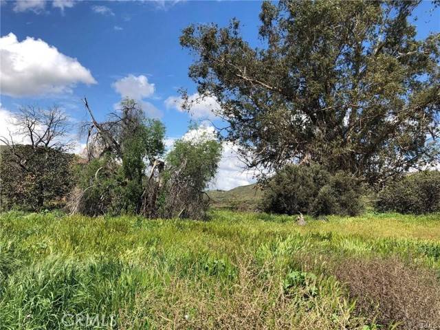 Aguanga, CA 92536,42370 Round Top Canyon