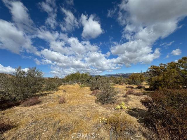 Anza, CA 92539,45101 Chapman