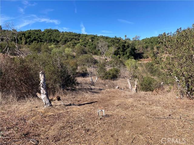 Temecula, CA 92590,10 Carancho