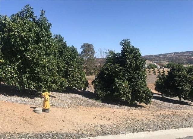 Temecula, CA 92592,38538 Martin Ranch