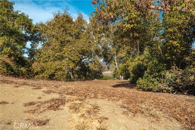 Valley Center, CA 92082,48 Pauma Ridge
