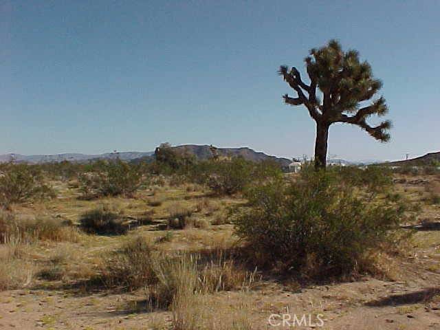 Landers, CA 92285,528 Landers