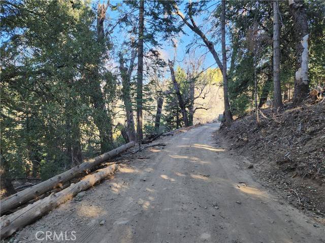 Palomar Mountain, CA 92082,33637 Cold Springs Trail