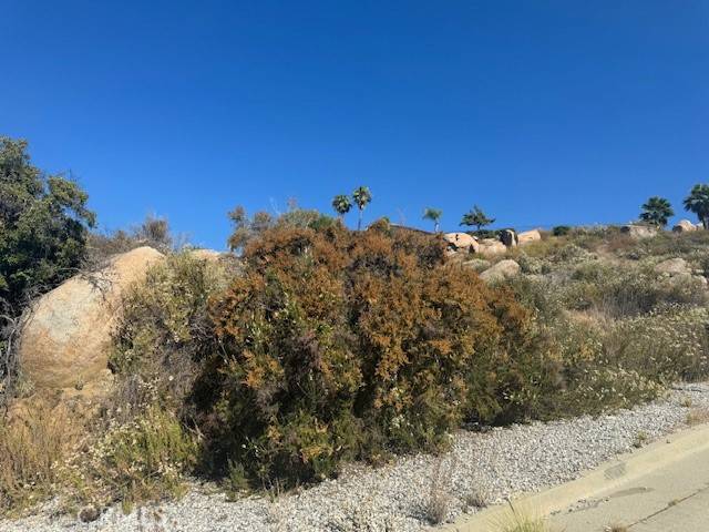 Hemet, CA 92544,0 Segner