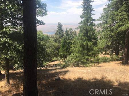 Cedarpines Park, CA 92322,857 Mozumdar