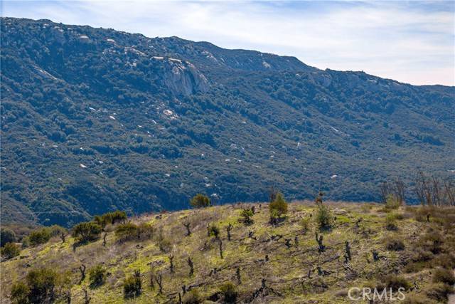 Temecula, CA 92590,5 Via Gorrion