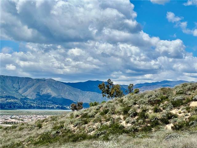 Wildomar, CA 92595,0 Olive
