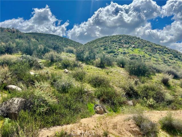 Wildomar, CA 92595,0 Olive