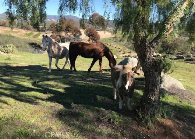 Hemet, CA 92544,34725 Silverwood Court