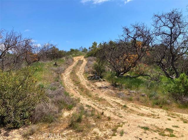 Temecula, CA 92590,23 Daneri