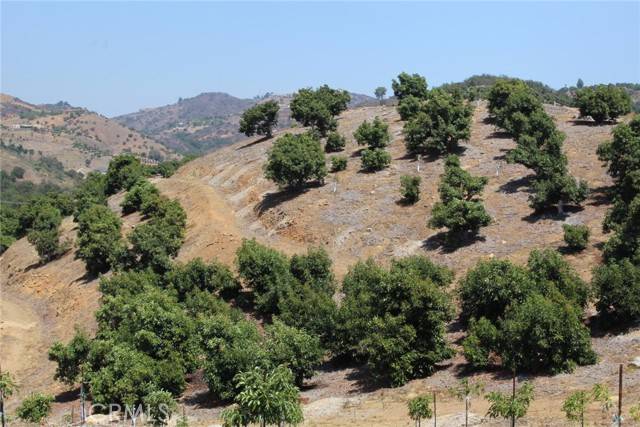 Temecula, CA 92590,4 Via Vaquero