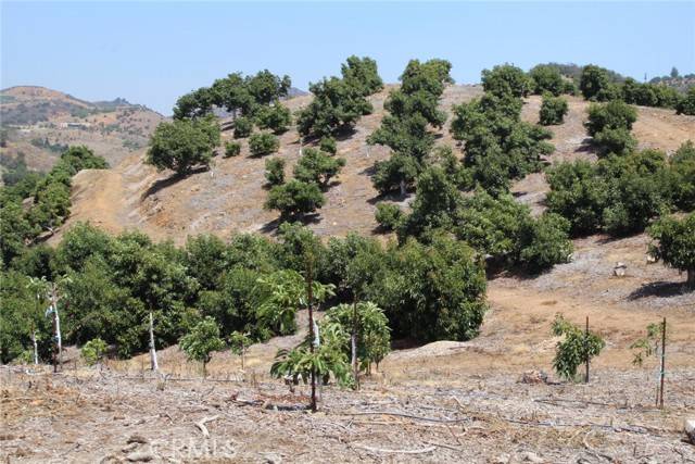 Temecula, CA 92590,4 Via Vaquero