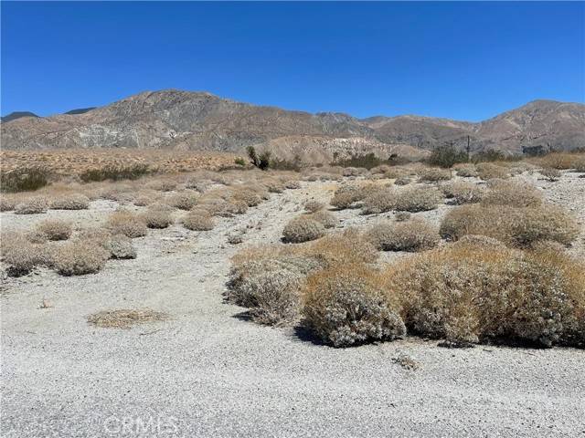 Whitewater, CA 92282,55200 Hatton