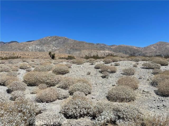 Whitewater, CA 92282,55200 Hatton