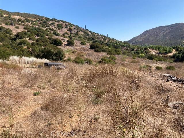 Temecula, CA 92590,37 El Calamar