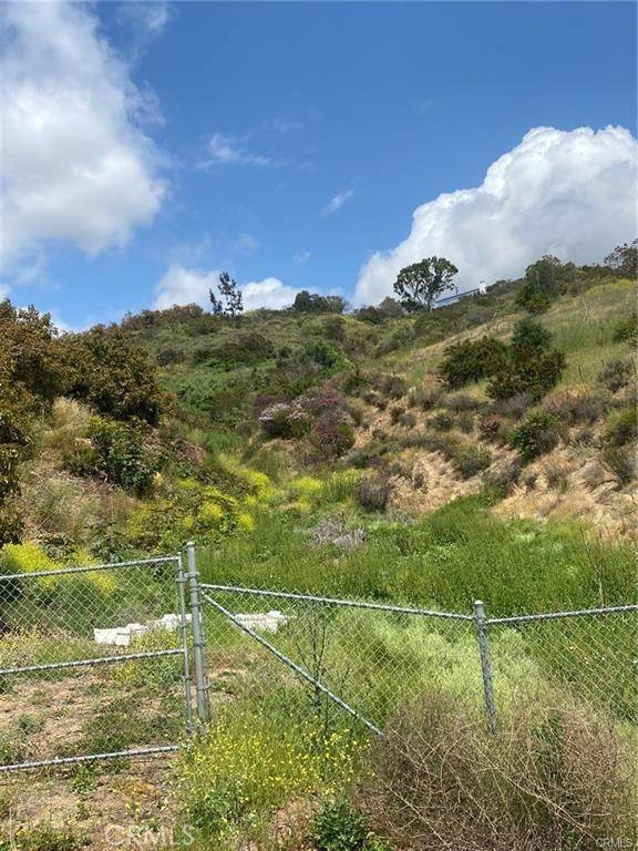 Bonsall, CA 92003,0 Camino De