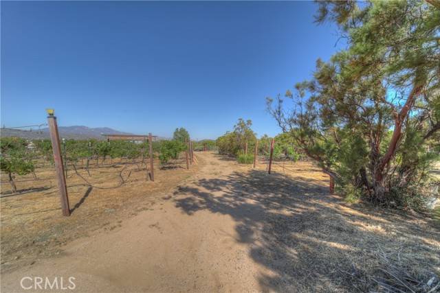 Anza, CA 92539,57820 Valley Vista