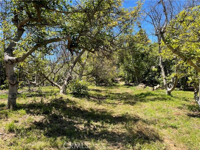 Temecula, CA 92590,3 Los Gatos