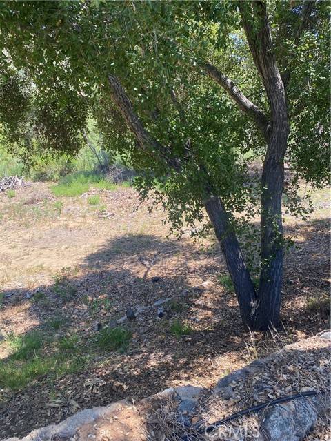 Fallbrook, CA 92028,466 Stewart Canyon Road