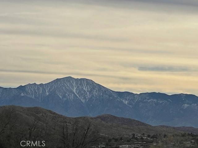 Morongo Valley, CA 92256,8716 Desert Willow