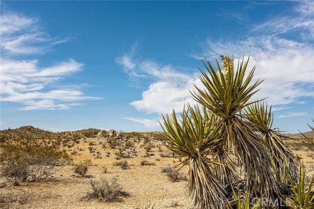 Yucca Valley, CA 92252,0 Julcrest