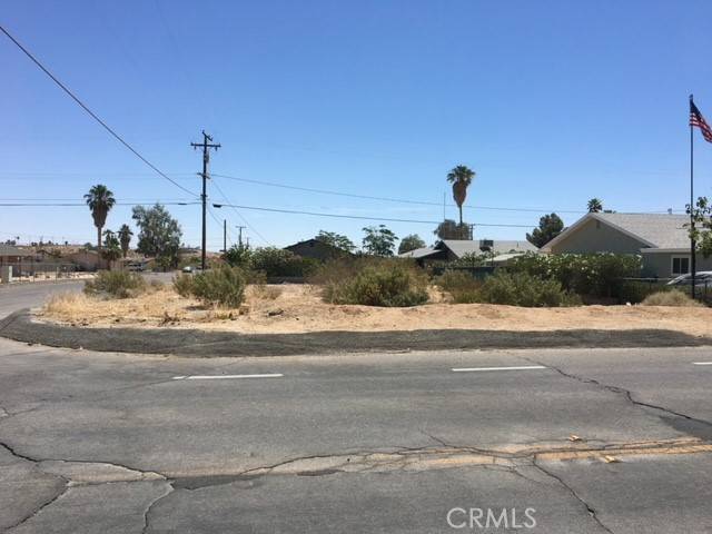 29 Palms, CA 92277,0 Lupine