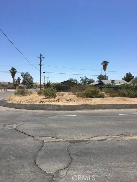 29 Palms, CA 92277,0 Lupine