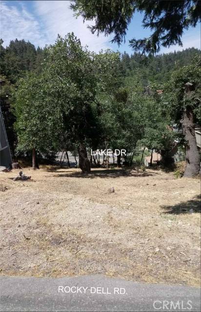 Crestline, CA 92325,0 Lake