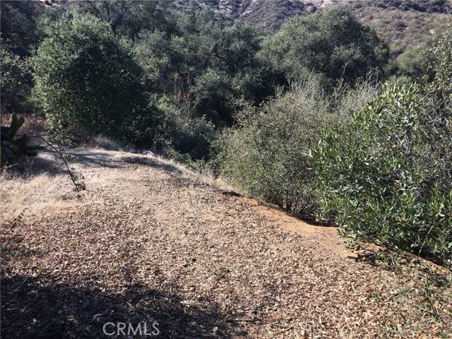 Yucaipa, CA 92399,13582 Oak Mountain