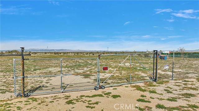 Phelan, CA 92371,0 Camillia