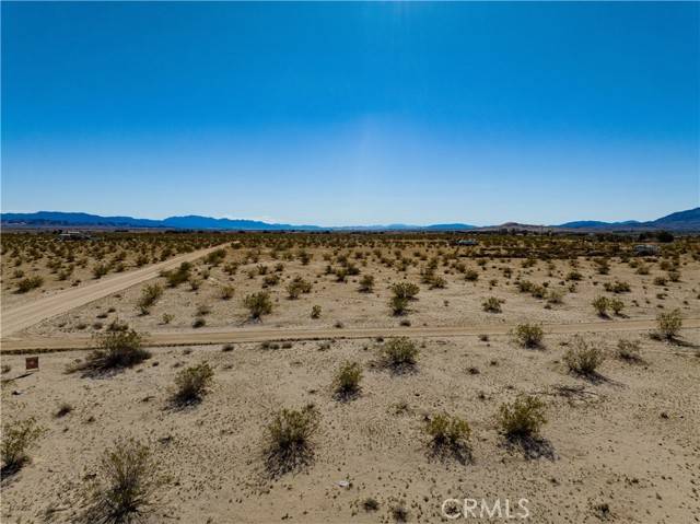 29 Palms, CA 92277,0 Fremontia